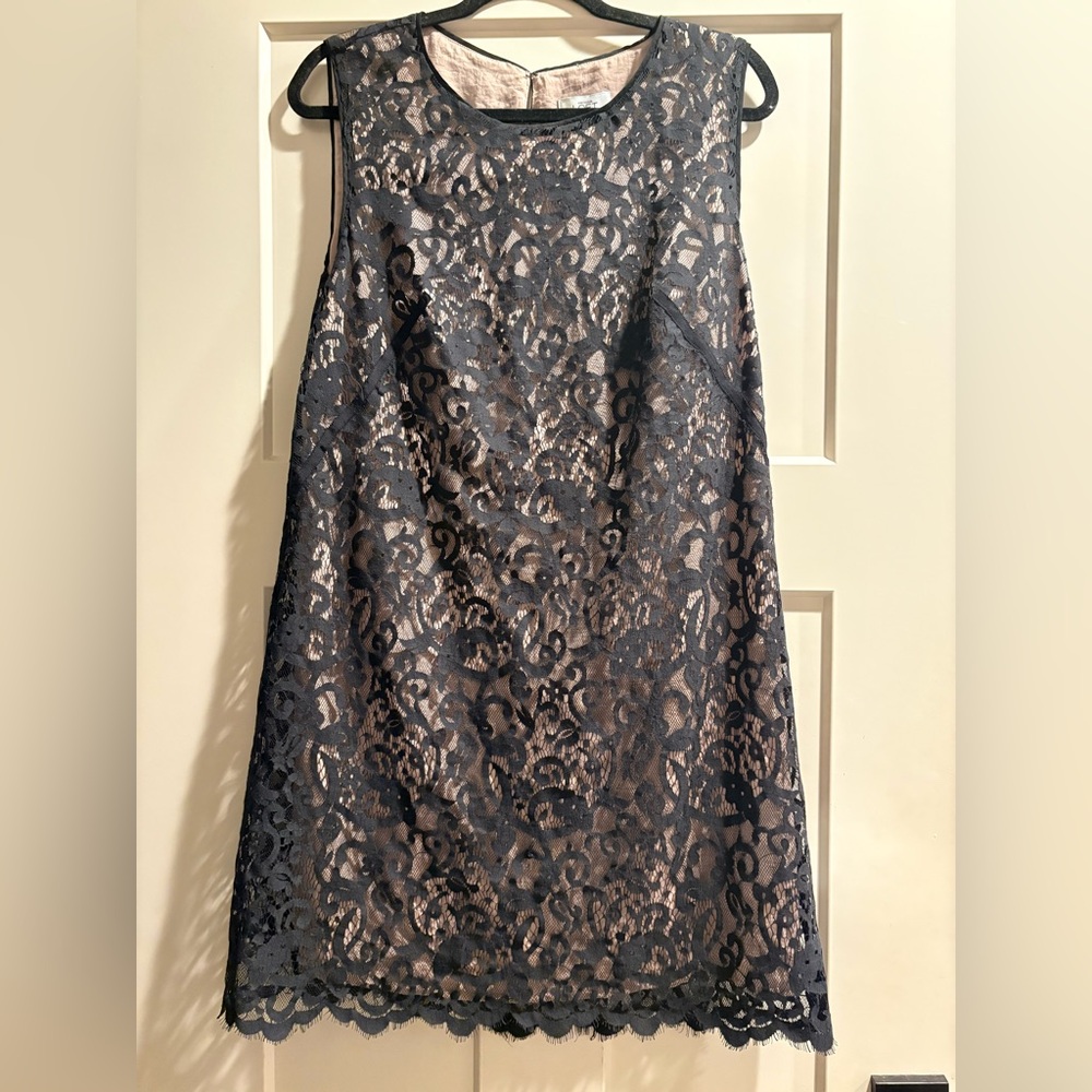 Loft Elegant Lace Sleeveless Dress - NWT - Size 14
